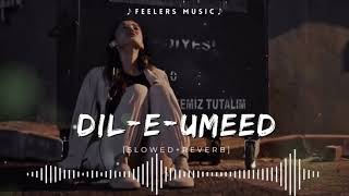 Dil E Umeed Tora Hai Kisi Ne  SlowedReverb [upl. by Birecree]