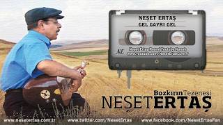 Neşet Ertaş  Gel Gayrı Gel [upl. by Ecyak]