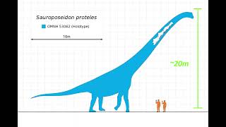 Sauroposeidon the tallest dinosaur ever [upl. by Neenaj944]