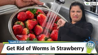 Get Rid of Worms in Strawberry  ISH News [upl. by Erialb176]