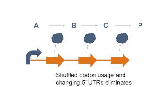 Regulation in Biosynthetic Pathways [upl. by Tiras]