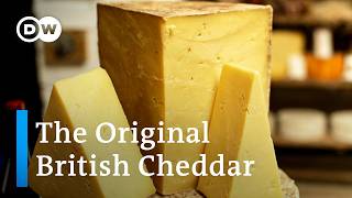 How traditional British Cheddar is made in Somerset [upl. by Odlonyer]