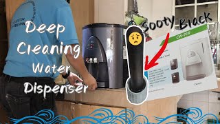 CW919 Water Dispenser Cleaning Guide [upl. by Gwenore]