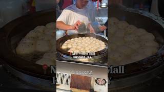 day of eats in flushing ny🍜🍛🥟🍽️ nyc foodie nycdiaries asianfood [upl. by Minne]