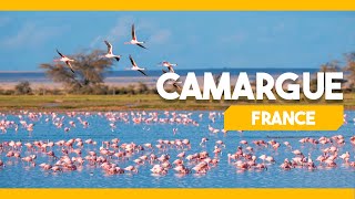 CAMARGUE FRANCE [upl. by Dario]