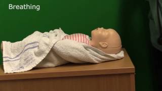 Neonatal Resuscitation  Demonstration [upl. by Afton]