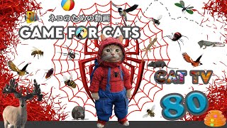 CAT Games  Ultimate BRAVE MAN Compilation Vol 80  2 HOURS Spiderman Cat  🐝🐞🦋🦎🦜🐜🐭🧵 [upl. by Harneen]