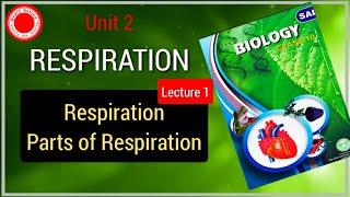 Human Respiration Air pathway  parts involved in respirationSCERT biology for Telangana and AP [upl. by Lavella152]