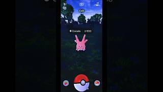 Today I Catch a Corsola in Pokemon GO Indonesia  Shorts Corsola PokemonGOGameplay [upl. by Hunley]