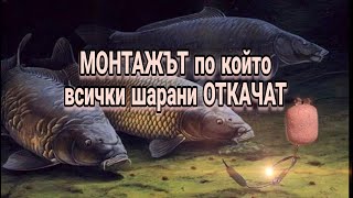 МОНТАЖЪТ по който всички Шарани ОТКАЧАТ [upl. by Anhaj]