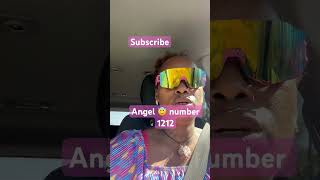 Angel number 1212 take the lead in your life messages love subscribe like comment share 🥰🧿❤️ [upl. by Raab988]