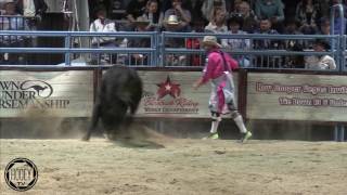 Chuck Swishers fence work  BFO Vegas 2015 [upl. by Morez]