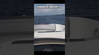 Running Out the Bayliner Element M17 with Mercury 75 HP [upl. by Jermaine]