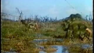 Marines in Vietnam 1968 55 [upl. by Emelita]