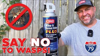 Eliminate Pesky Stinging Insects CRC Wasp amp Hornet Killer [upl. by Nnyladnarb653]