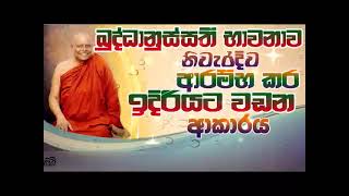 බුද්ධානුස්සති භාවනාව නිවැරදිව ආරම්භ කර ඉදිරියට වඩන අකාරය  ven na uyane ariyadhamma thero [upl. by Annohs]