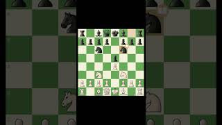 Four knight game  Belgrade gambit ☠️ Chess game chess greatmove freequeen [upl. by Dnalyar534]