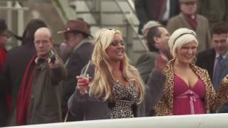 Chav Tranquilizing at Cheltenham  Paddy Power Style [upl. by Gentes]