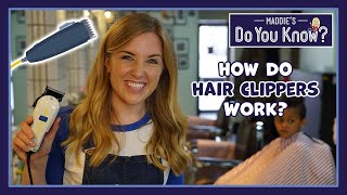 How do Hair Clippers work ✂️ Maddies Do You Know 👩 [upl. by Adnuahsor136]