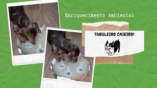 Enriquecimento ambiental para cães  tabuleiro caseiro 🐶 [upl. by Matilde]