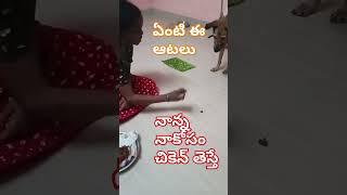 వీడి కోపం వస్తె మామూలుగా 😡💢yt doglover animalsanimallovershortsshort trendingfunny funyt [upl. by Ile]