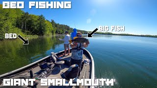 Smallmouth Bass Fishing the Spawn in Northern WisconsinAfternoon Day 1 Minocqua 2024 [upl. by Kyred]