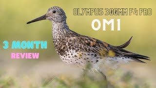 OM1 and Olympus 300mm F4 Pro  3 month review  Did I make the right choice [upl. by Lura]