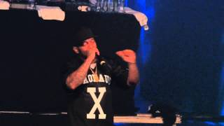 Mobb Deep  Timeless Live  Melkweg Amsterdam 14062014 [upl. by Almeda694]