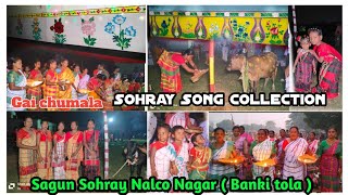 Sagun Sohray 2024 🔥🙏  Sohray song collection video ll Nalco Nagar Banki tola Sohray parab sohray [upl. by Aenitsirhc]