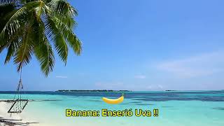 Banana y uva 1x4 Editor [upl. by Kenison]