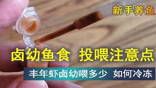 丰年虾卤幼如何投喂、如何冷冻等注意事项 [upl. by Adey]