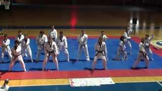 Taekwondo Austrian Legend Demonstration  Chosun International Academy [upl. by Cavil]