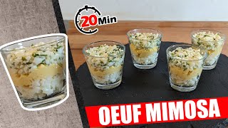 VERRINE SALEE ENTREE DELICIEUSE OEUF MIMOSA FACILE POUR DEBUTANT [upl. by Lauzon]