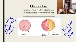 Laboratory tests media and techniques [upl. by Biancha]