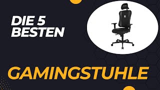 Die 5 Besten Gamingstühle UNTER 200€ 2024 [upl. by Lapo]