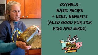 Understanding Oxymels and Their Uses  Simple Recipes [upl. by Ahsyia]