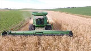 Winter Rye Harvest [upl. by Harmonia]