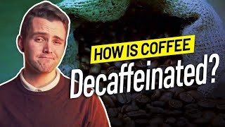 How is Coffee Decaffeinated [upl. by Hock]