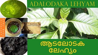 Cough relief home remedyAdalodaka Lehyam  ആടലോടക ലേഹ്യം  വിട്ടുമാറാത്ത കഫക്കെട്ടിനു ഉത്തമം [upl. by Daniella]