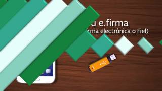 Tutorial Dar de alta tu efirma portable [upl. by Lerak]