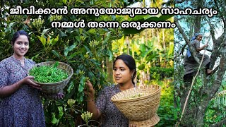 നമുക്ക് ജീവിക്കാൻ അനുയോജ്യമായ സാഹചര്യം നമ്മൾ തന്നെ ഒരുക്കണംSaranyas beauty vlogsAttappady [upl. by Airbmak457]