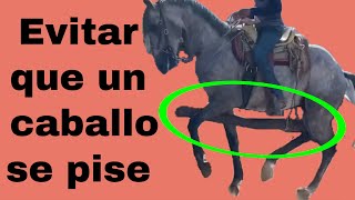 ¿Este sistema funciona para evitar que un caballo se pise la herradura [upl. by Manvell]