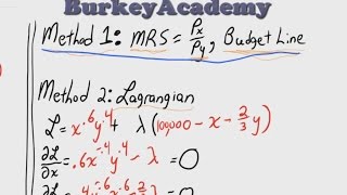 Two Period Utility Maximization Introduction to Intertemporal [upl. by Yale980]