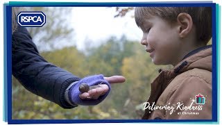 A Little Kindness  RSPCA Christmas Ad 2018 [upl. by Lleihsad]