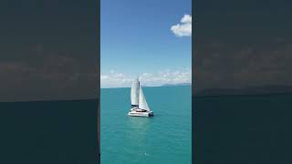 HAVE YOU SEEN THE WHITSUNDAY ESCAPE FLEET [upl. by Areyk]