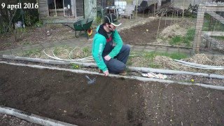 Toms Moestuin 2016  22  Wortel gewassen ter plekke zaaien [upl. by Hellene296]