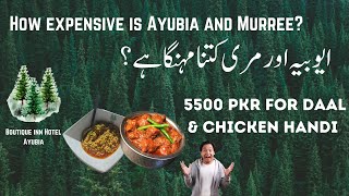 How Expensive is Ayubia amp Murree Boutique inn Hotel Ayubia  Kashif Afridi Vlogs [upl. by Zaneski210]