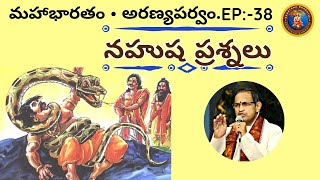 అరణ్యపర్వం 38 • నహుష ప్రశ్నలు • Chaganti • Mahabharatham [upl. by Adni]