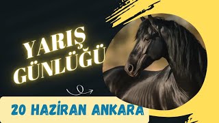 20 HAZİRAN ANKARA AT YARIŞI TAHMİNLERİ👑 🐎🐎 YARIŞ GÜNLÜĞÜ👑 [upl. by Veejar852]