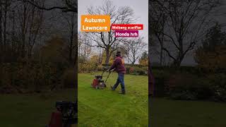 Lawncare in autumn 🍁 Using the weibang scarifier and honda HRH mower to pick up lawncare me lawn [upl. by Aixela]